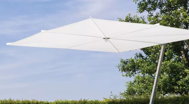 Parasol