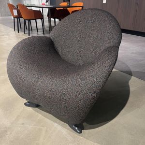 Leolux Papageno fauteuil blauw/rood 