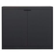 Pastoe L-serie kast 